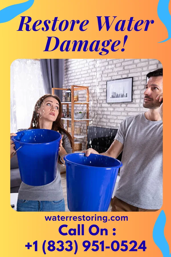 water restoration Pacific Property Restoration Brothers Skyline