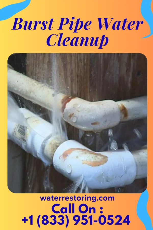 Burst Pipe Water Cleanup in Skyline, MN