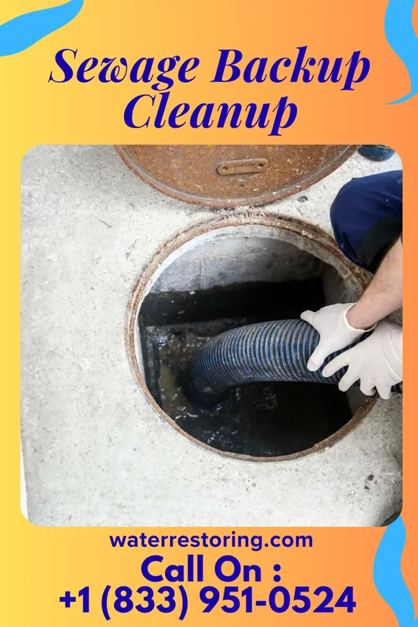 Sewage Backup Cleanup in Skyline, MN