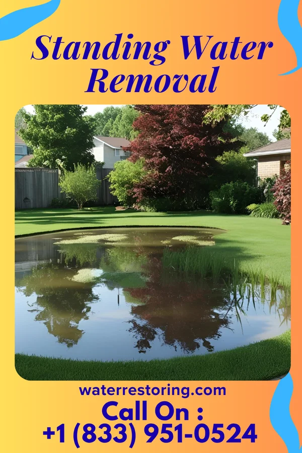 Standing Water Removal in Skyline, MN